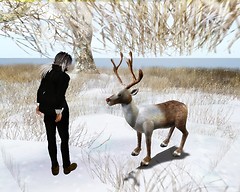 snow5