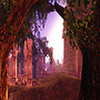 Peek into the Past Lost World !  by lolmac Shan , Beguile (6a0, 64, 22