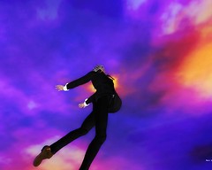 fly