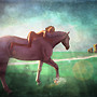 horsie2