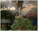 fairy Gardens