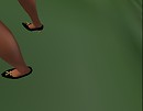 land shopping_002