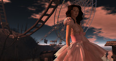 Snapshot_079