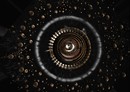 Danger in Evolution Top View - chimera.cosmos