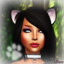 KittyCen2