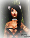 KittyCen1