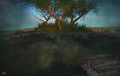 Reflections