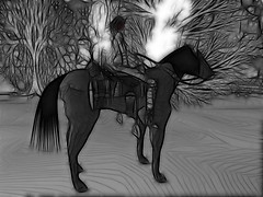 erotics 10
