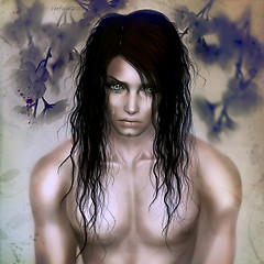The crow and the dove