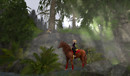 Morning ride in the mists