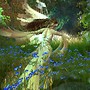 Fairy and Flowers