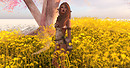 Golden Fields