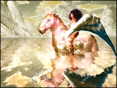 Winged Water Horse