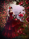 rose rose