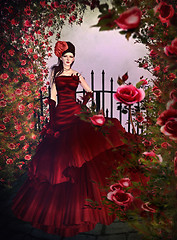 rose rose