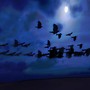 Departure2