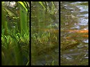 Water Reflections Triptych