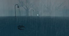 2304 Rain (1)