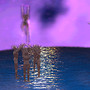 Fuschias Fantasy land_001