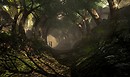 Enchanted Tree Tunnel