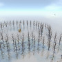 Insight Forest _005