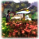 Elf Forest 07 ~ Watching the sleeping elf
