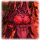 Elf Forest 02