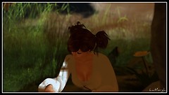 The Letter