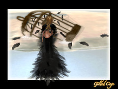 Gilded Cage