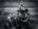 Wild One ...Redux