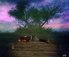 Dreamin