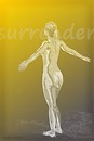 surrender