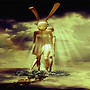 Dolly Rabbit