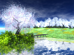 Hana ha saku
