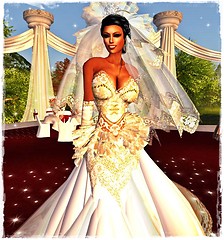 The wedding of Katie and Benji 1j