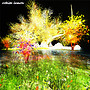 light tree