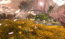 Alirium- March 2013