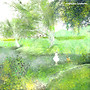 A spring brook