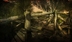 Crossing