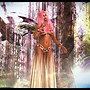 forest3
