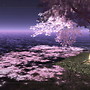夜桜　~SwayLand~