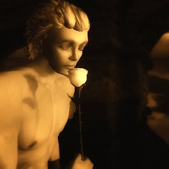 Fragrant Shadow