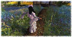 Spring Dance
