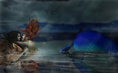 to the water and the wild resized