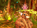 Chakryn Forest Photohunt