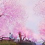 kagurazaka sakura