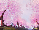 kagurazaka sakura