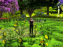 Relaxing in new flowers, Devis Garden (9)