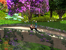 Relaxing in new flowers, Devis Garden (8)