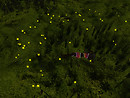 Relaxing in new flowers, Devis Garden (7)